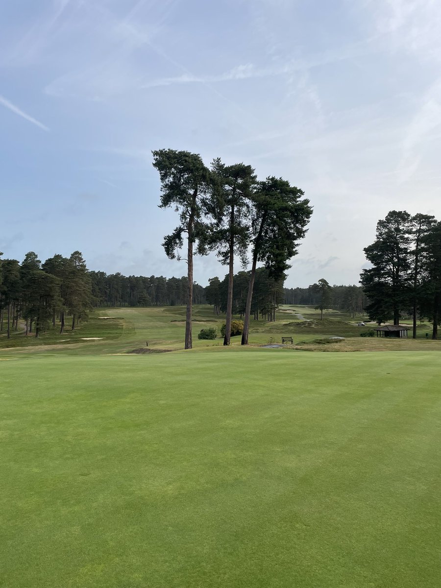 Tony Stephen tweet media