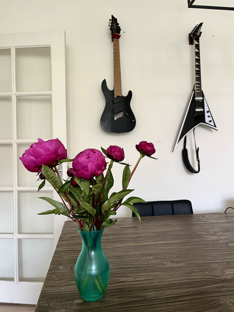 Короче я всё мечтала покупать себе пионы в новую квартиру, но по какой-то причине в прошлом сезоне проебланила и вот наконец!🤗