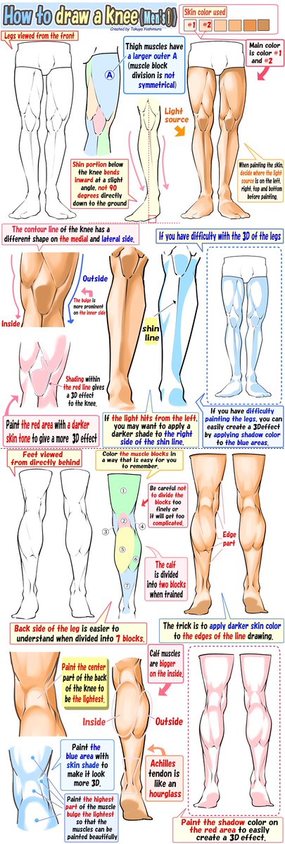 《Illustration tips》
About male leg muscles.