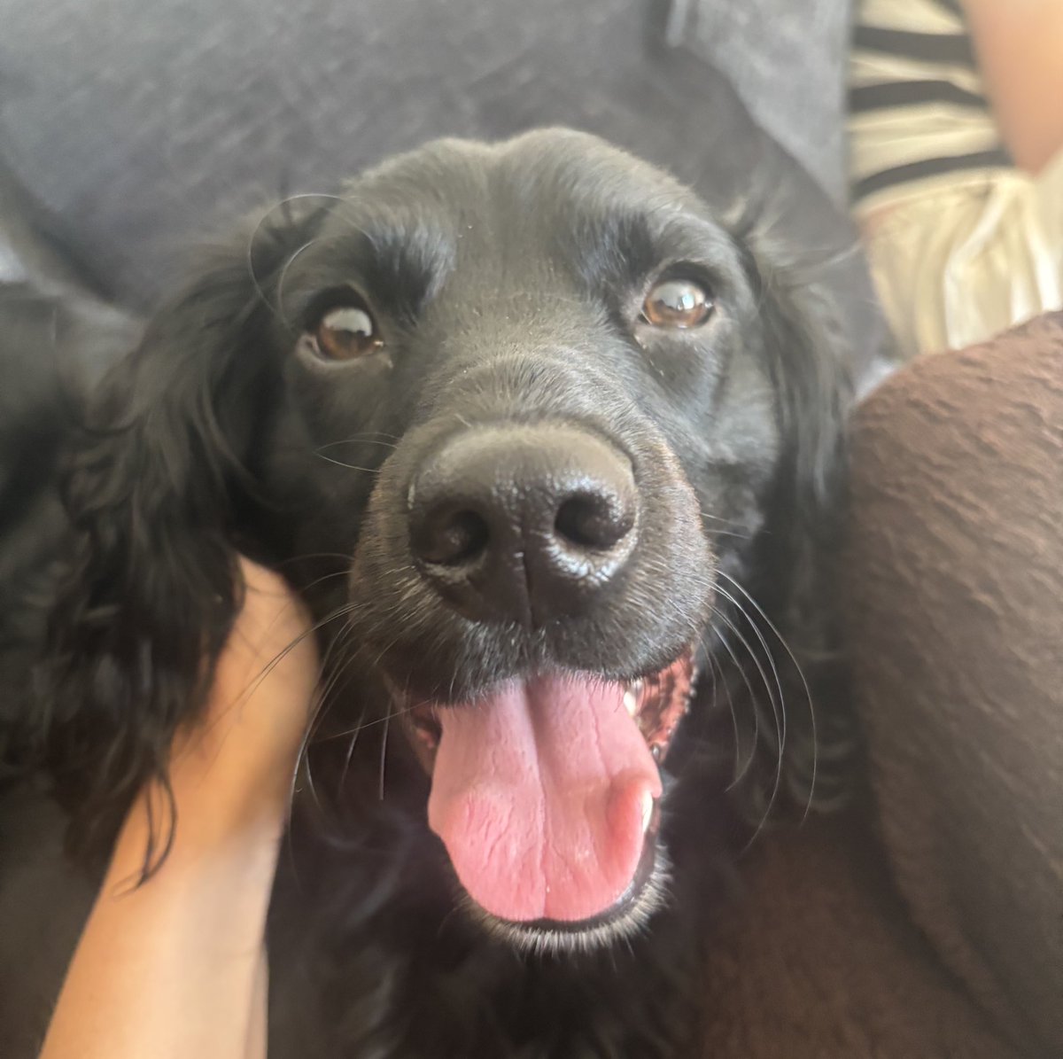 Shauna ✨ tweet media