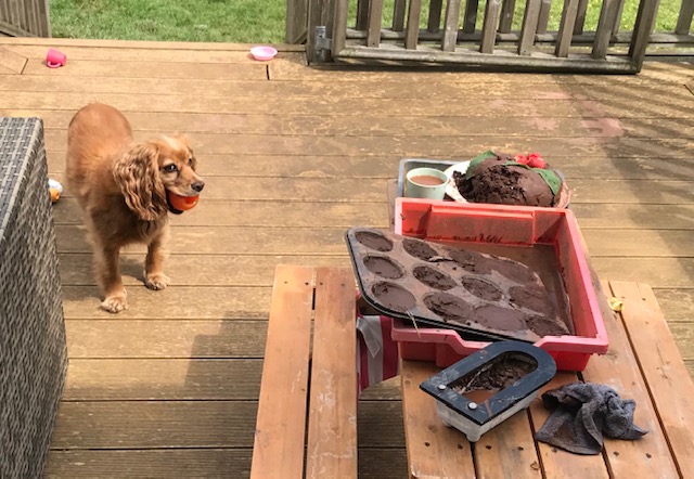 BethanySkinnard's tweet photo. Our 'Lunch' (mud 'cakes') is apparently ready - even the dog looks worried... 
#diningetiquette #countrylife #Devon https://t.co/4HrBfgjs4w