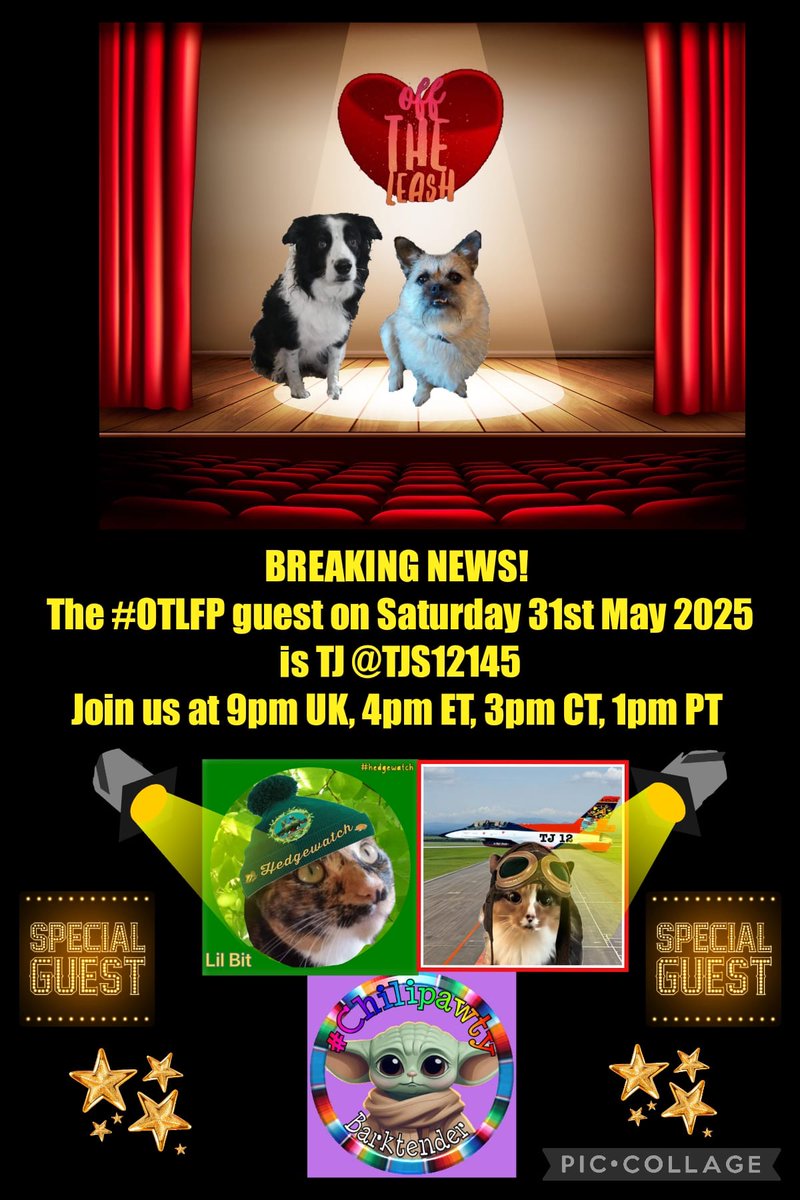 OffTheLeashFP 🌈💔RIP Beautiful Millie🌈RIP Moose (@offtheleashfp) on Twitter photo 📌 Did you miss our latest #OTLFP show this past Sat May 31? Click this link to see highlights!
Guest: TJ <a href="/TJS12145/">TJS</a>
Hosts: <a href="/Pixie_Tooth/">Pixie💔😭Millie💔Moose💔Fancy💔Stan💔Paddy😭</a> & <a href="/MillieOTLFP/">Millie🐾🌈Moose🐾🌈#OneForAllAndAllForMillie🐾</a>
Our next show is Sat June 7! All are welcome. Just search & follow #OTLFP!
x.com/search?q=%23OT… 📌 Did you miss our latest #OTLFP show this past Sat May 31? Click this link to see highlights!
Guest: TJ <a href="/TJS12145/">TJS</a>
Hosts: <a href="/Pixie_Tooth/">Pixie💔😭Millie💔Moose💔Fancy💔Stan💔Paddy😭</a> & <a href="/MillieOTLFP/">Millie🐾🌈Moose🐾🌈#OneForAllAndAllForMillie🐾</a>
Our next show is Sat June 7! All are welcome. Just search & follow #OTLFP!
x.com/search?q=%23OT…
