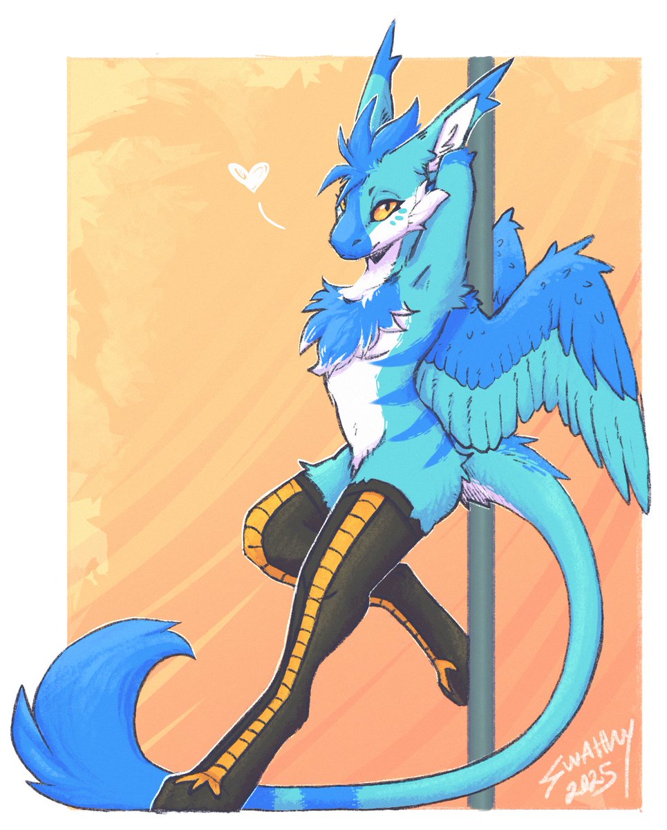Socks?