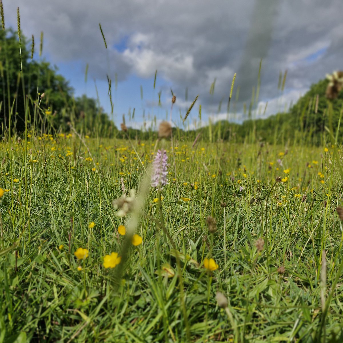 I really despair <a href="/telfordlive/">Telford Live!</a> about how Telford is becoming a concrete jungle
