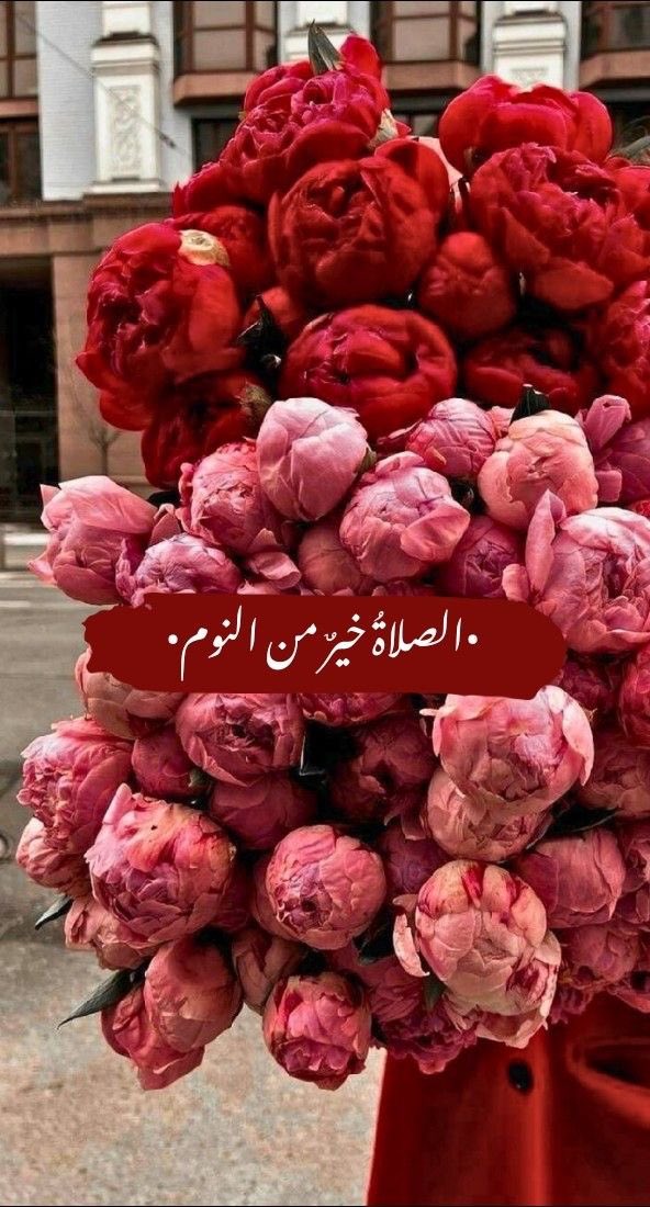 #استغل_خير_الايام_بذكرالله 

اخبروا ابنائكم واجيالكم القادم .. أن امورهم لاتتم إلا بالصلاة و أن الصلاة أمان وبوّابة الرزق و أن التفريط فيها عظيم عند الله .. وأنّه لا يفلح من لا يُصلّي ولن يُقم له أمرٍ من أمور الدنيا والآخرة ..🌸
