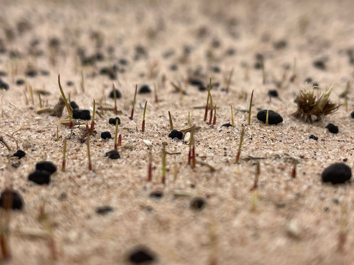 Stu Lambert tweet media