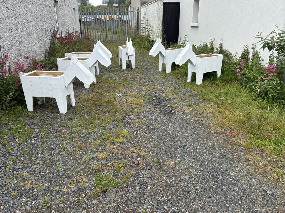 Ballsbridge (@ballsbridgelive) on Twitter photo Last pick of grass while visiting the farrier today for these guys and they are <a href="/DublinHorseShow/">Dublin Horse Show</a> ready . Watch this space with our <a href="/TidyTownsIre/">Supervalu TidyTowns Competition</a> group .
Countdown is on for #2025dublinhorseshow Last pick of grass while visiting the farrier today for these guys and they are <a href="/DublinHorseShow/">Dublin Horse Show</a> ready . Watch this space with our <a href="/TidyTownsIre/">Supervalu TidyTowns Competition</a> group .
Countdown is on for #2025dublinhorseshow