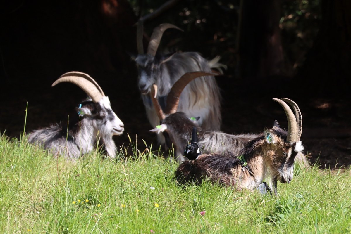 David Betts tweet media