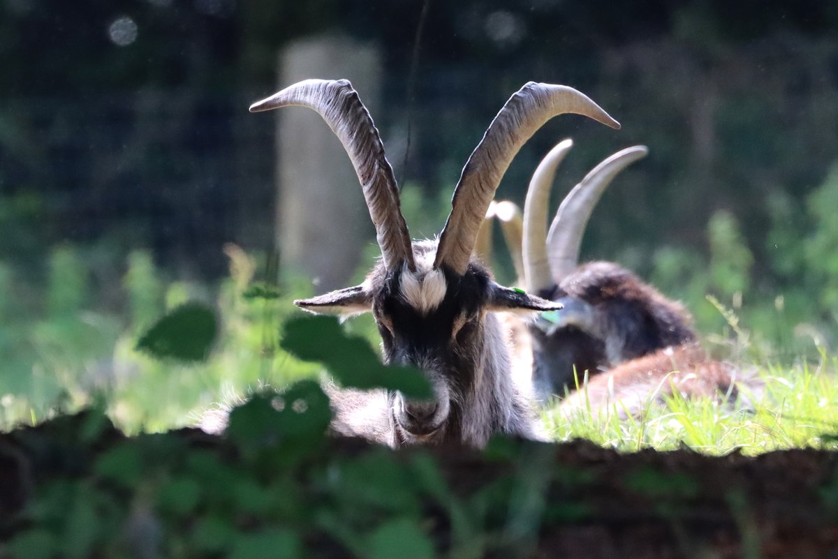 David Betts tweet media