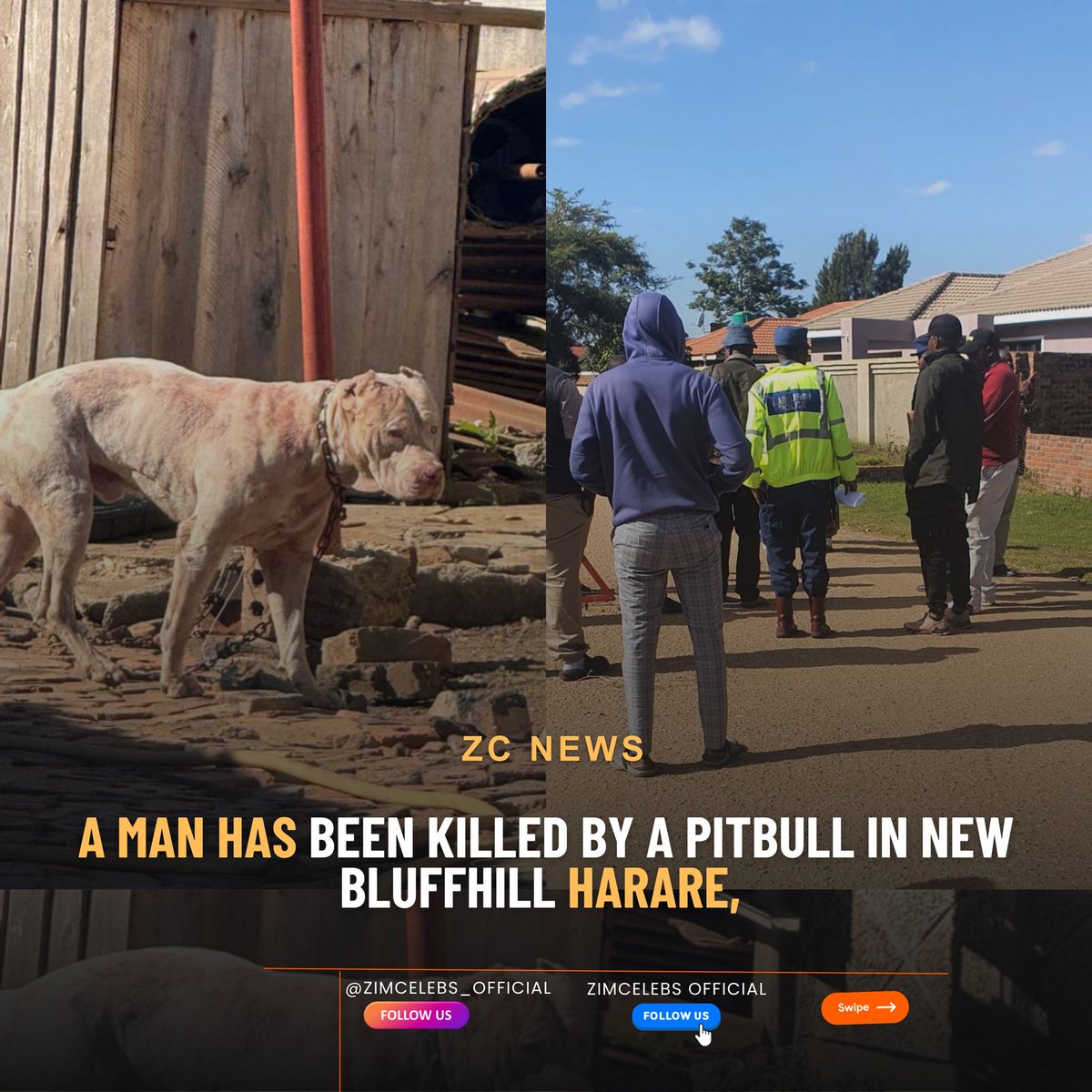 We have learnt with, sadness, the death of a #HarareWest constituency resident, after he was attacked by a Pitbull dog, that was roaming freely in the street. 
#MHSRIP.
It's time as the legislature,  we pass Breed specific legislation which restricts &amp; bans certain dog breeds.