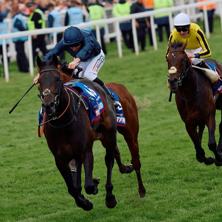 blindadosalas1's tweet photo. #Hipismo #CrónicasDelEpsomDerby El 01/06/2024 CITY OF TROY 🇺🇸🇮🇪 fue infinitamente superior en el #EpsomDerby245 Su trainer AIDAN O´BRIEN 🇮🇪 estableció récord absoluto de 10 #Derbies de por vida. Su jockey RYAN MOORE 🇬🇧 llegó a cuatro en el historial. https://t.co/LuXIspN1yV