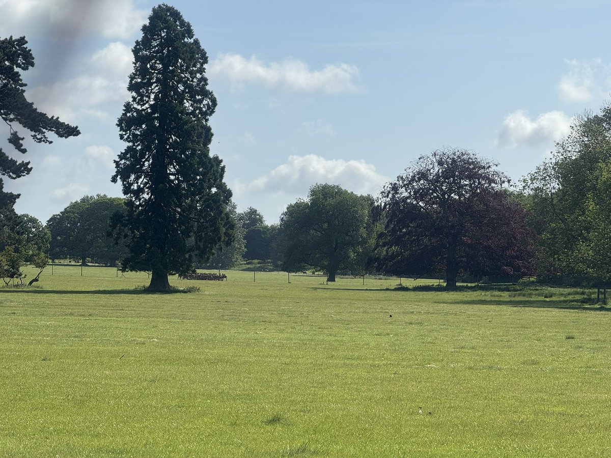 MANDARINLEISURE's tweet photo. Some of the views at #StourtonEstate #Baumber this morning. Welcome to summer π
#LincsConnect https://t.co/Wkl0U19e29