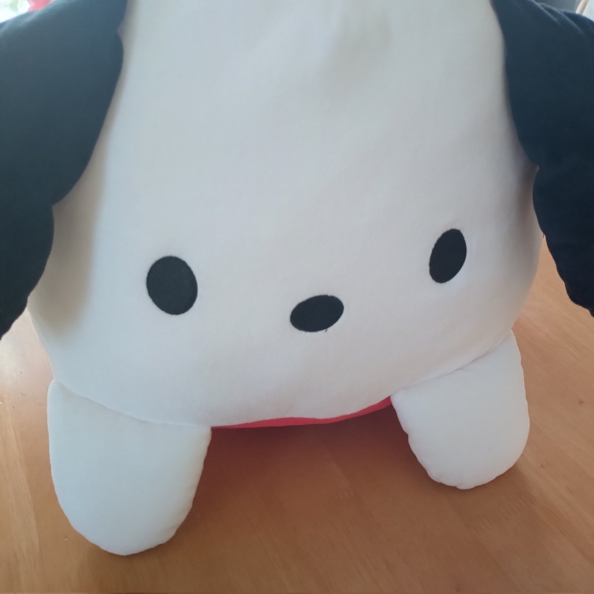 ポチャッコ、ペッチャンコ

洗いたくて適当にファスナー付けてみた♪最近は投稿できてないけど、ミシンは継続中です😊作品を作りたくなってきたので来週は頑張るぞ✨