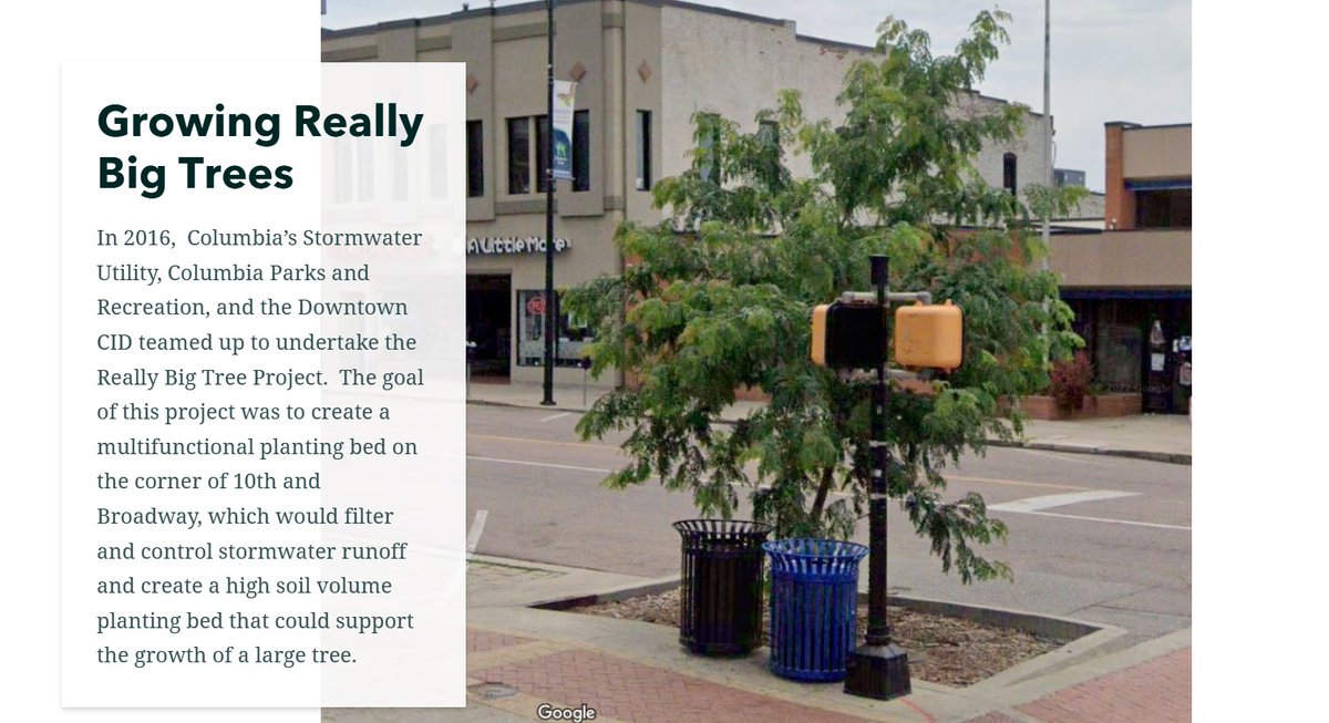 🌳The Really Big Tree Project is rethinking urban tree planting in Columbia! Traditional street trees struggle with compacted root balls. This project gives trees room to grow, thrive, and manage stormwater downtown 🌧️🌳 🎥 Watch: youtu.be/5vXsPhDyvCk?si…