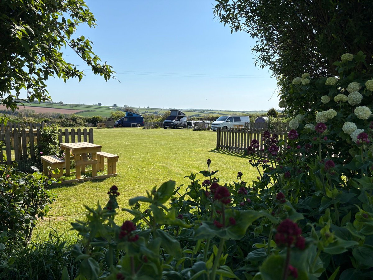🌞 EARLY SUMMER SPECIAL OFFER 🌞

Three nights for the price of TWO at Parkland Camping &amp; Caravan Site, near Kingsbridge in stunning South Devon! 🏕️ This amazing deal is available for stays until 19th June 2025! 💫

camping-directory.uk/1948 

#Devon #Camping #GlampingUK