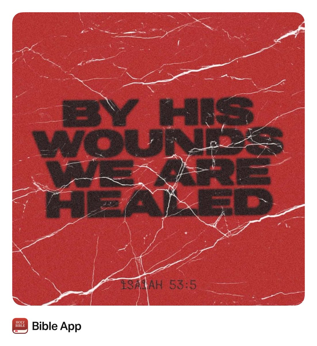 dmuck10's tweet image. 