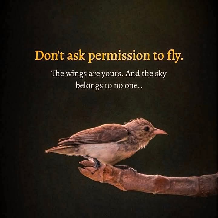Muhamma78647092's tweet image. 💡 Winning freelancers don’t sell — they solve.

❌ “I offer services…” = Ignored
✅ “I see you’re struggling with [problem] — I can fix it…” = Attention grabbed.

It’s not about being available.
It’s about being valuable. 💰

#Freelancing #ClientMindset  #ProblemSolver