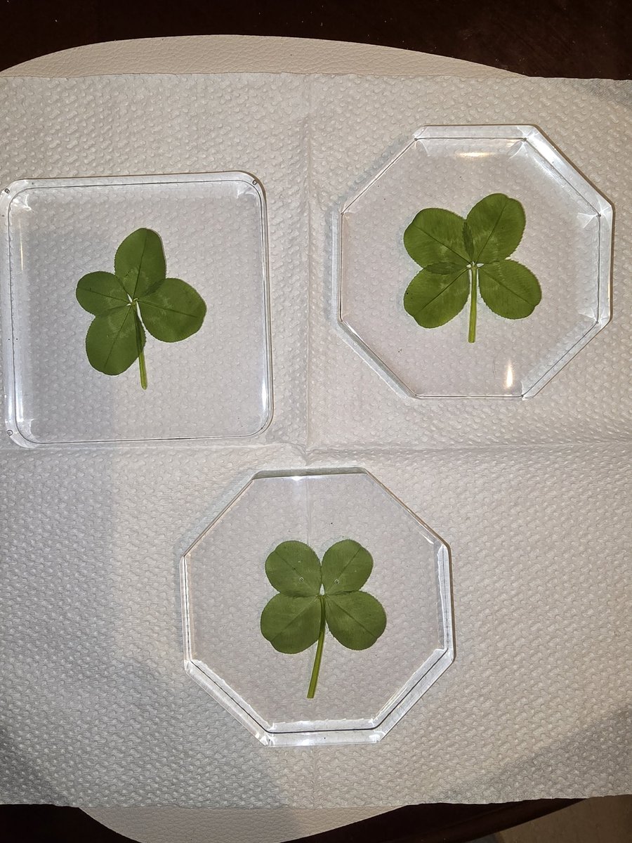 Good morning, Everyone !  Welcome June ☀️ I got some new molds 😁 These will display very well. What do you think ? 🍀