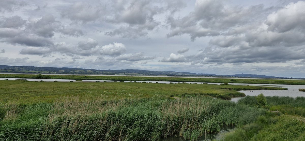 Punkafoo1's tweet photo. Had a lovely day Friday at slimbridge wetland centre. https://t.co/nUYWy8EnZK