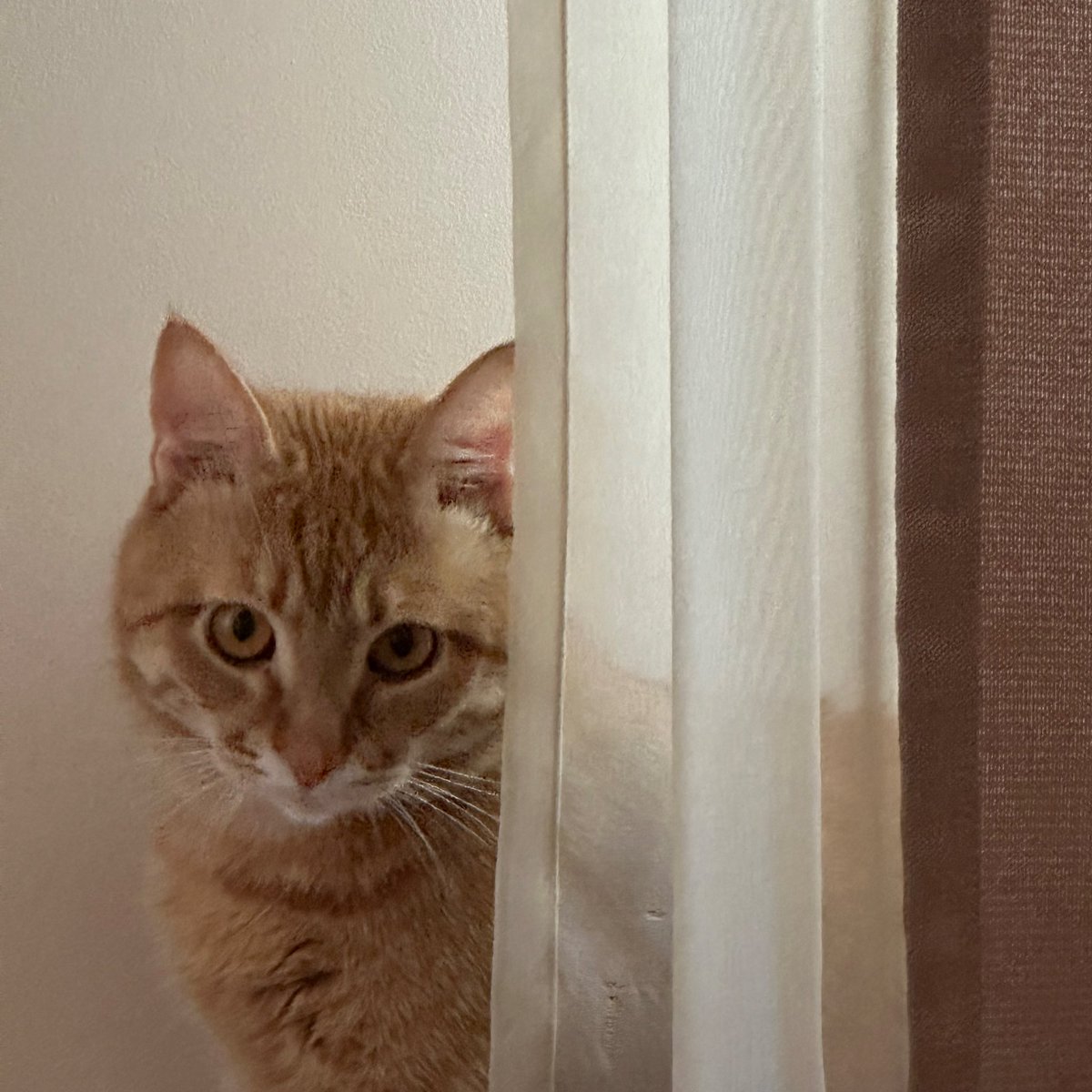 ніби це не він кусав вночі за жопу