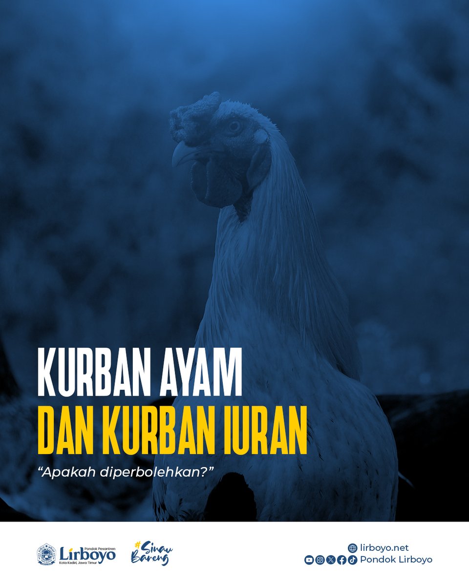 pondok_lirboyo's tweet photo. Pernah ikut iuran kurban? atau pernah berangan-angan berkurban dengan ayam karena mahalnya harga hewan kurban? Yuk, simak seperti apa hukumnya. https://t.co/utBJTVZaS2