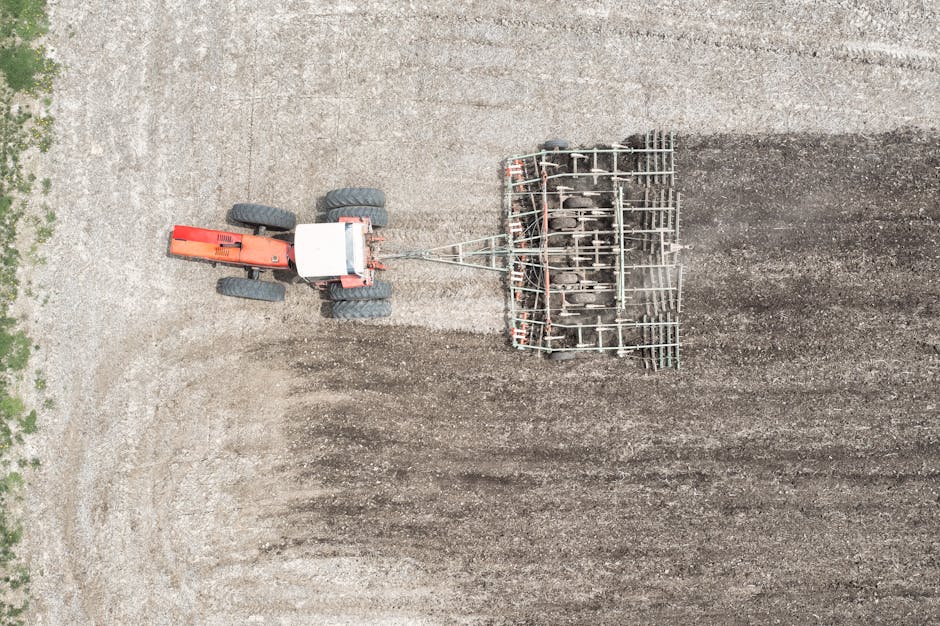 You've been lied to.

Plowing fields and relying on "modern" agriculture isn’t feeding the world—it’s destroying the soil we depend on for survival.

Here’s why backyard permaculture &amp; home gardens are the real solution to our global farming crisis (and how to be part of it): 🧵