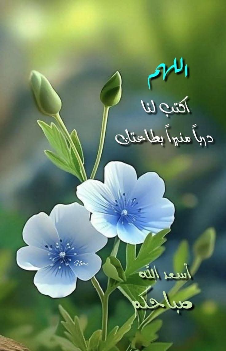 لي ولكم يارب العالمين