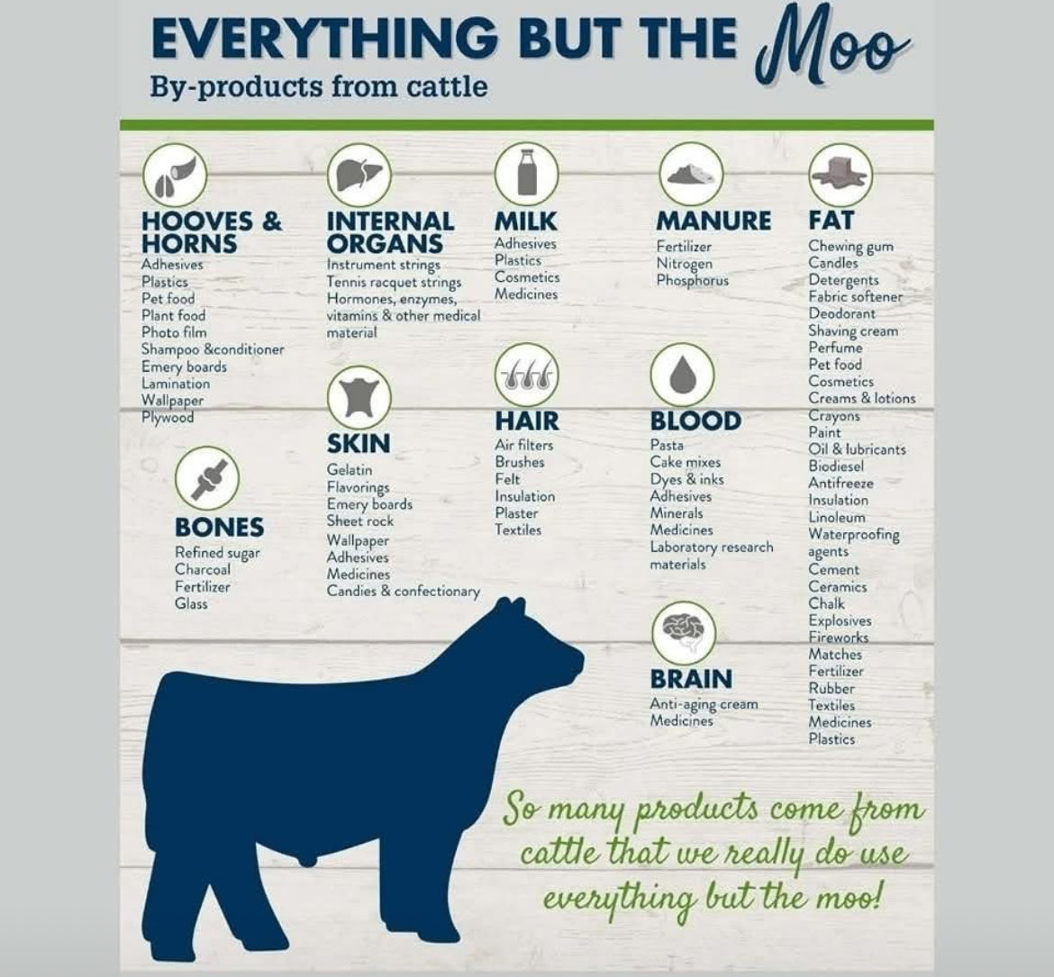 TheFarmingForum (@thefarmingforum) on Twitter photo Just saying….. <a href="/UKLabour/">The Labour Party</a> net zero numpties ! If we produce less cows we also produce less if this ⬇️ Just saying….. <a href="/UKLabour/">The Labour Party</a> net zero numpties ! If we produce less cows we also produce less if this ⬇️