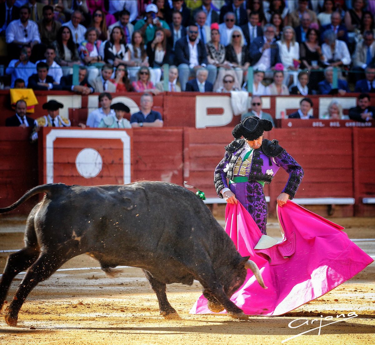 torosybravura's tweet photo. El mes de mayo que has dado …

¡Para la historia! https://t.co/ICITQA5LhD