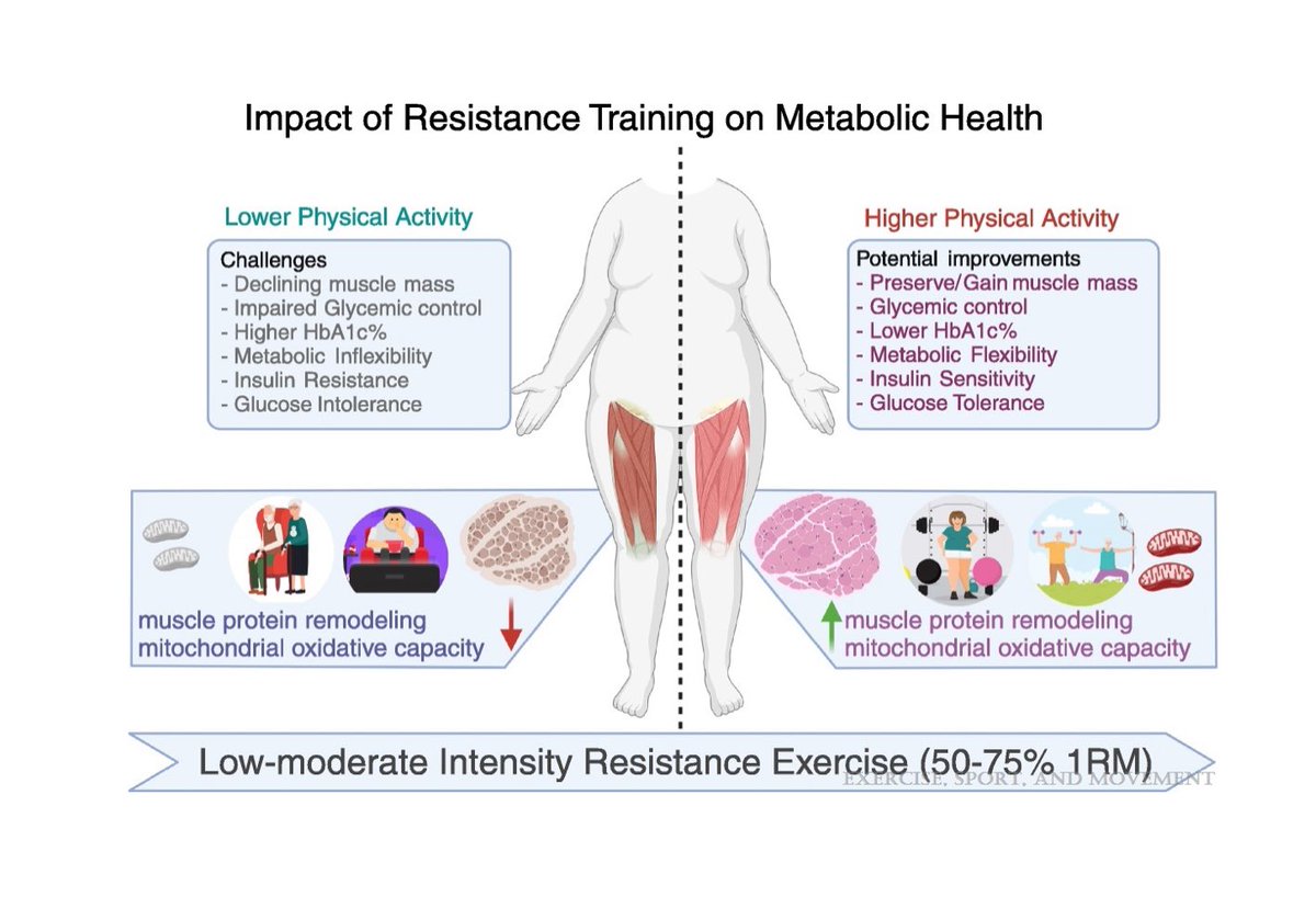 The Health Benefits of Resistance Exercise: Beyond Hypertrophy and Big Weights
journals.lww.com/acsm-esm/fullt…

Participation in RT can increase physical and cognitive function, improve cancer survival, and manage metabolic health.