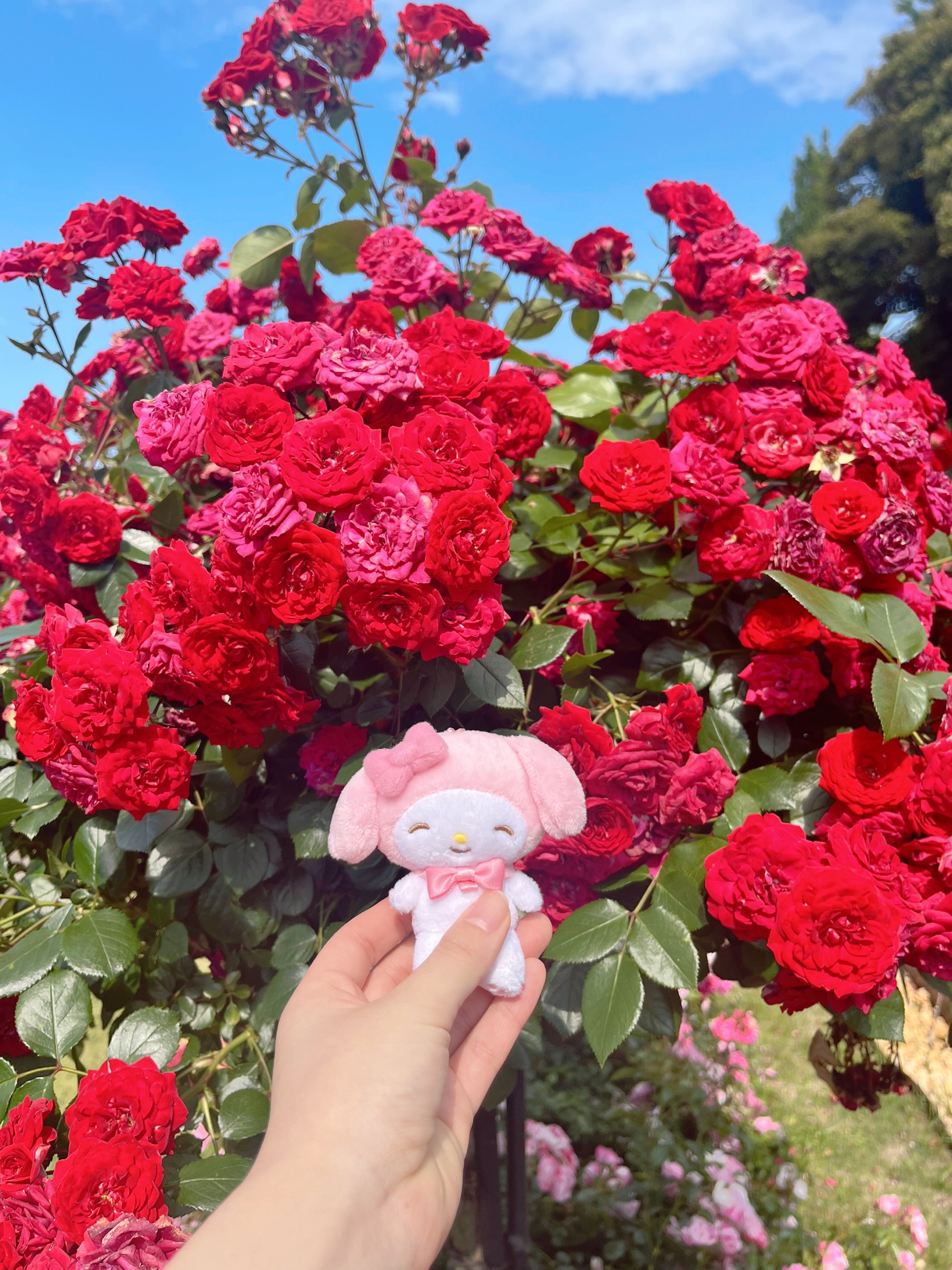 FL／H・RS 三日月 暁ページ ハイパーレブ Vol.273 日産 フェアレディZ No.10 (発売日2023年