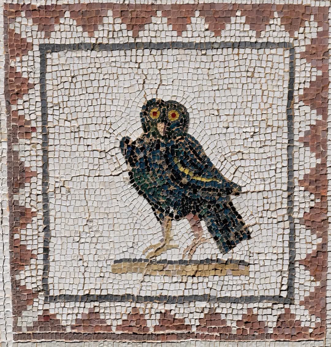 Mosaico romano que representa un búho, ubicado en el suelo de la Casa de los Pájaros en Itálica, un sitio arqueológico cerca de Sevilla, España, que data aproximadamente del siglo I d.C.

Este mosaico podría ser una pieza decorativa de la época romana, ya que se han encontrado