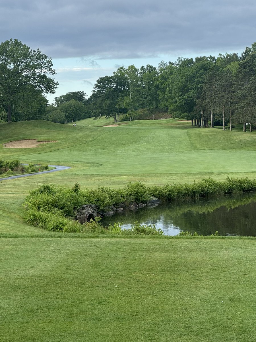 Good Sunday morning to you all. What a morning for some golf. ⛳️