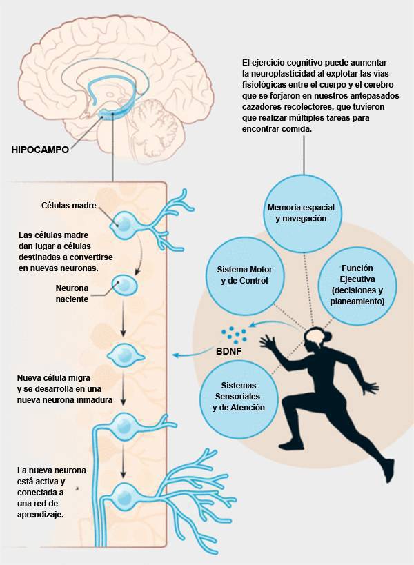 Virginio Gallardo tweet media