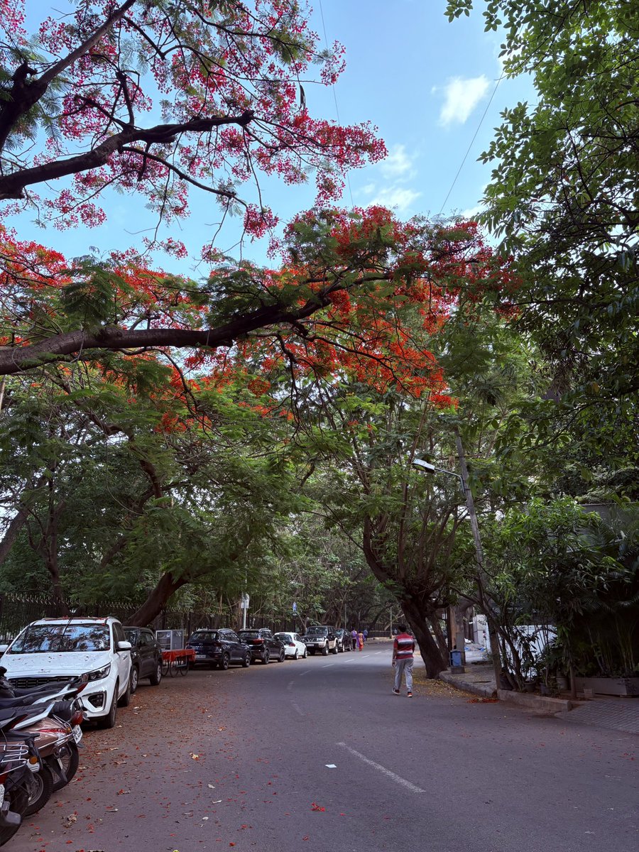 adarshpp's tweet image. Life is just a collection of temporary moments! 🌹 
#Bengaluru #Life