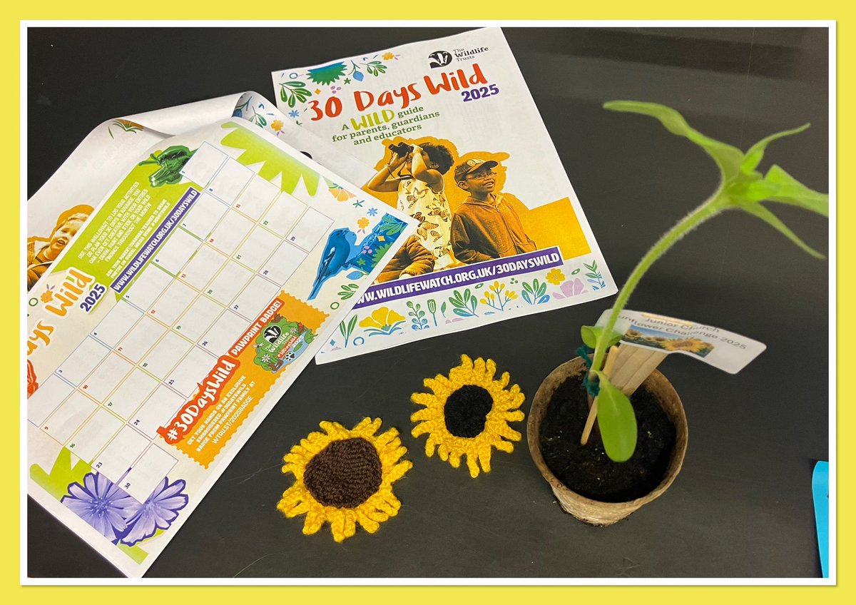 St Mary’s Parish Church Y-Zone (@yzone46361882) on Twitter photo Activity pack, knitted sunflower and plant 🌻 for all the young ones <a href="/stmarysmwell/">St Mary’s Motherwell</a> Activity pack, knitted sunflower and plant 🌻 for all the young ones <a href="/stmarysmwell/">St Mary’s Motherwell</a>