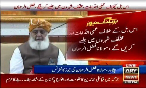 With respect, Maulana Fazlur Rehman Sahib’s interpretation conflates biological puberty with readiness for marriage… whereas Islam and the Constitution of Pakistan both emphasize justice, protection, and dignity.

Article 25(1) of the Constitution declares:
“All citizens are