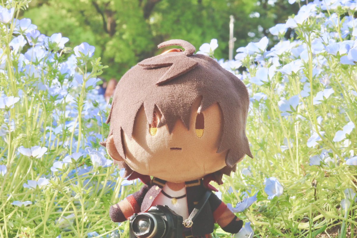 💮にゃぎ💮 tweet media