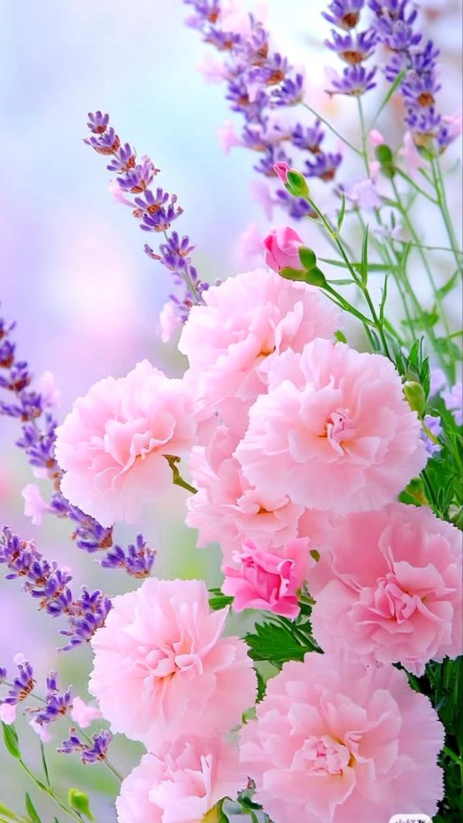 ✿𝖑𝖚𝖇𝖓𝖆 𝑨𝖑𝖎✿ (@lub_03) on Twitter photo #GPG🌟
<a href="/Lub_03/">✿𝖑𝖚𝖇𝖓𝖆 𝑨𝖑𝖎✿</a> <a href="/m81mh/">Muhammad Hilal</a> <a href="/_oztr/">ÖzleⓂ️ 𝕏☪︎#Nika -ོ 🕯️🥶</a>
<a href="/bnte_/">بـٌـٌٌـٌٌٌـٌٌـٌنـِِـِـتـٌـٌٌـ۔</a> <a href="/Triq25/">⤹𝙈𝙪𝙝𝙖𝙢𝙢𝙖𝙙 𝙏𝙖𝙧𝙞𝙦⤸</a> <a href="/Fat9T/">Arshia🍂🥀</a>
<a href="/Hfz48/">Hᴀғᴇᴇᴢᴀʜ Aᴋʙᴀʀ</a> <a href="/asf_71/">S Rahe</a>
<a href="/florchicana/">Selene 𝕏🖤Perfectly imperfect 🖤❌DM❌</a>
<a href="/RaisaniUZ/">Usama Zulfiqar</a>
<a href="/QaisSadi5/">𝙁𝙤𝙡𝙡𝙤𝙬 𝙁𝙤𝙡𝙡𝙤𝙬 𝙗𝙖𝙘𝙠تابِعني وأتَابِع</a>
<a href="/Sc2017W/">SC2017</a>
<a href="/shd0016/">Shahid</a>
<a href="/Sana_IIK/">KhanZaadi 🦋</a>
<a href="/BAA_WA/">💎 Μ𝐲Ⓢт𝐈c💎</a>
<a href="/1___A_1/">❤ع̷ٍش̷ُ𝓶𝔂𝓛𝓸𝓿𝓮ق̷ي❤🇸🇦</a>
<a href="/Hfz512/">Abdul Hafeez</a>
<a href="/4Usmn/">𝓡𝓪𝓷𝓪 𝓤𝓼𝓶𝓪𝓷</a>
<a href="/ISKno1/">𝕴𝖘𝖍𝖆𝖖 𝖐𝖍𝖆𝖓</a>
<a href="/Uz_88t/">💞 ضدی شہزادی💞</a>
<a href="/zz70m/">🌸Ameer Zahir🇵🇰</a>
<a href="/Bj__99/">вααωα</a>
<a href="/PRx9k/">𝑷𝒓𝒊𝒏𝒄𝒆𝒔𝒔 𝑹𝒐𝒔𝒆❖</a>
<a href="/IK60K/">𝕀𝕜𝕙𝕝𝕒𝕢 𝔾𝕠𝕟𝕕𝕒𝕝</a>
<a href="/6kshf/">Syed Kashif 2</a>
<a href="/kn_jui/">Bakht Zada🇵🇰f💯</a> <a href="/IK151/">𝕊ʜᴇʀᴅɪʟ 🇵🇰 IK</a> <a href="/80pti/">Danakhan..💝</a>
<a href="/Mir44_/">Sᴍoͥkeͣrͫ ོ 🦅</a> <a href="/bnte_/">بـٌـٌٌـٌٌٌـٌٌـٌنـِِـِـتـٌـٌٌـ۔</a> <a href="/11usx/">Մsตαղ Cɦeeɱα✪</a>
<a href="/Ghz79/">❃ 𝔾𝕙𝕒𝕫𝕒𝕝𝕒𝕙 𝕊𝕒𝕕𝕒𝕗 ❃</a> <a href="/Ghz21/">⍟𝐆𝐡𝐚𝐳𝐚𝐥𝐚 𝐒𝐚𝐝𝐚𝐟⍟</a> <a href="/Ghz97/">✪𝗚𝖍𝖆𝖟𝖆𝖑𝖆𝖍 𝗦𝖆𝖉𝖆𝖋✪</a> #GPG🌟
<a href="/Lub_03/">✿𝖑𝖚𝖇𝖓𝖆 𝑨𝖑𝖎✿</a> <a href="/m81mh/">Muhammad Hilal</a> <a href="/_oztr/">ÖzleⓂ️ 𝕏☪︎#Nika -ོ 🕯️🥶</a>
<a href="/bnte_/">بـٌـٌٌـٌٌٌـٌٌـٌنـِِـِـتـٌـٌٌـ۔</a> <a href="/Triq25/">⤹𝙈𝙪𝙝𝙖𝙢𝙢𝙖𝙙 𝙏𝙖𝙧𝙞𝙦⤸</a> <a href="/Fat9T/">Arshia🍂🥀</a>
<a href="/Hfz48/">Hᴀғᴇᴇᴢᴀʜ Aᴋʙᴀʀ</a> <a href="/asf_71/">S Rahe</a>
<a href="/florchicana/">Selene 𝕏🖤Perfectly imperfect 🖤❌DM❌</a>
<a href="/RaisaniUZ/">Usama Zulfiqar</a>
<a href="/QaisSadi5/">𝙁𝙤𝙡𝙡𝙤𝙬 𝙁𝙤𝙡𝙡𝙤𝙬 𝙗𝙖𝙘𝙠تابِعني وأتَابِع</a>
<a href="/Sc2017W/">SC2017</a>
<a href="/shd0016/">Shahid</a>
<a href="/Sana_IIK/">KhanZaadi 🦋</a>
<a href="/BAA_WA/">💎 Μ𝐲Ⓢт𝐈c💎</a>
<a href="/1___A_1/">❤ع̷ٍش̷ُ𝓶𝔂𝓛𝓸𝓿𝓮ق̷ي❤🇸🇦</a>
<a href="/Hfz512/">Abdul Hafeez</a>
<a href="/4Usmn/">𝓡𝓪𝓷𝓪 𝓤𝓼𝓶𝓪𝓷</a>
<a href="/ISKno1/">𝕴𝖘𝖍𝖆𝖖 𝖐𝖍𝖆𝖓</a>
<a href="/Uz_88t/">💞 ضدی شہزادی💞</a>
<a href="/zz70m/">🌸Ameer Zahir🇵🇰</a>
<a href="/Bj__99/">вααωα</a>
<a href="/PRx9k/">𝑷𝒓𝒊𝒏𝒄𝒆𝒔𝒔 𝑹𝒐𝒔𝒆❖</a>
<a href="/IK60K/">𝕀𝕜𝕙𝕝𝕒𝕢 𝔾𝕠𝕟𝕕𝕒𝕝</a>
<a href="/6kshf/">Syed Kashif 2</a>
<a href="/kn_jui/">Bakht Zada🇵🇰f💯</a> <a href="/IK151/">𝕊ʜᴇʀᴅɪʟ 🇵🇰 IK</a> <a href="/80pti/">Danakhan..💝</a>
<a href="/Mir44_/">Sᴍoͥkeͣrͫ ོ 🦅</a> <a href="/bnte_/">بـٌـٌٌـٌٌٌـٌٌـٌنـِِـِـتـٌـٌٌـ۔</a> <a href="/11usx/">Մsตαղ Cɦeeɱα✪</a>
<a href="/Ghz79/">❃ 𝔾𝕙𝕒𝕫𝕒𝕝𝕒𝕙 𝕊𝕒𝕕𝕒𝕗 ❃</a> <a href="/Ghz21/">⍟𝐆𝐡𝐚𝐳𝐚𝐥𝐚 𝐒𝐚𝐝𝐚𝐟⍟</a> <a href="/Ghz97/">✪𝗚𝖍𝖆𝖟𝖆𝖑𝖆𝖍 𝗦𝖆𝖉𝖆𝖋✪</a>