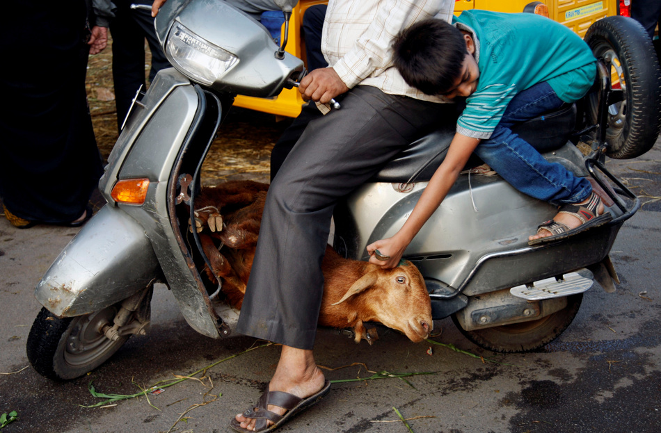 kill animals to make  a sky God happy