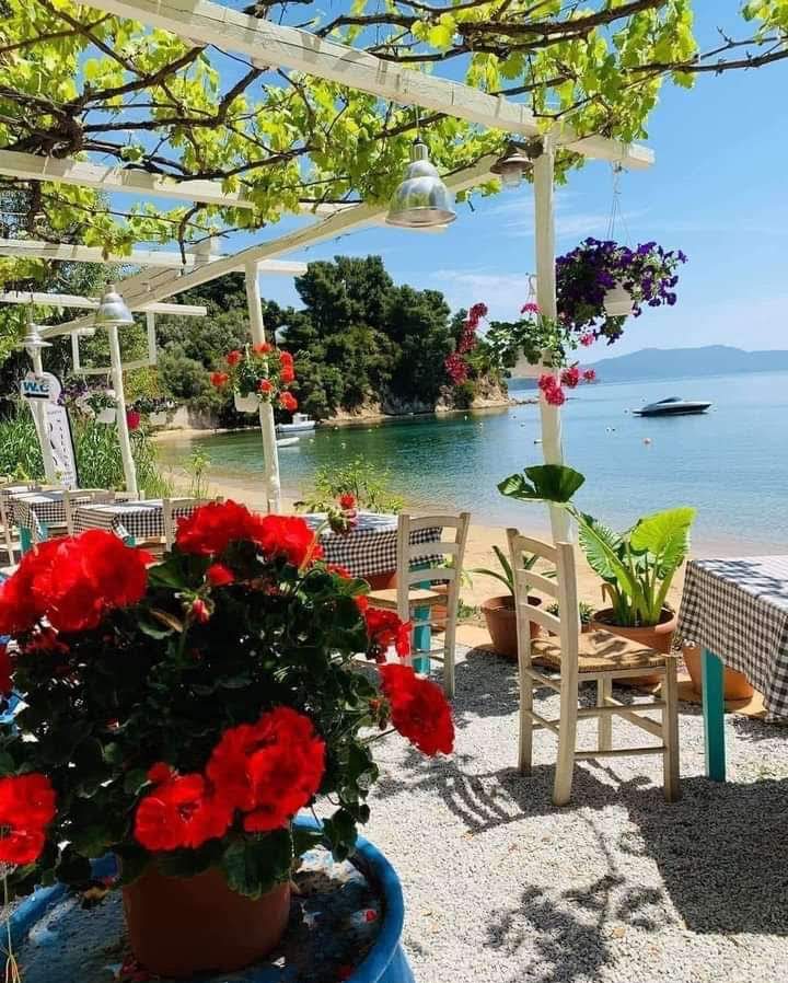 Lluvia53208679's tweet image. Happy Sunday friends ❤️💚
#GoodVibesTwitterWorld