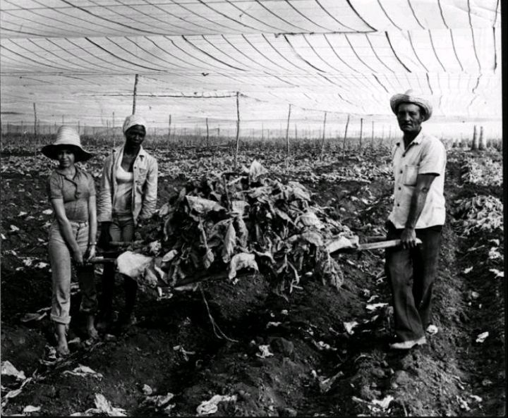 Nancy Labrada E.P (@pcc_escuela) on Twitter photo Las agresiones biológicas contra #Cuba han ocasionando daños humanos irreparables, y pérdidas millonarias a la economía nacional ✴️✴️✴️ Imposible de olvidar
#CubaViveEnSuHistoria
#JuntosPorMayabeque 🇨🇺
<a href="/ArnerMarrero/">Arner Marrero</a> <a href="/MaydaSurez1/">Mayd@ Suárez ❤️🇨🇺💯💪🥰💐🎉</a>
<a href="/YanelisQuiones3/">Yanelis Quiñones</a> <a href="/ClavelElsis/">Elsis Clavel Castillo</a> Las agresiones biológicas contra #Cuba han ocasionando daños humanos irreparables, y pérdidas millonarias a la economía nacional ✴️✴️✴️ Imposible de olvidar
#CubaViveEnSuHistoria
#JuntosPorMayabeque 🇨🇺
<a href="/ArnerMarrero/">Arner Marrero</a> <a href="/MaydaSurez1/">Mayd@ Suárez ❤️🇨🇺💯💪🥰💐🎉</a>
<a href="/YanelisQuiones3/">Yanelis Quiñones</a> <a href="/ClavelElsis/">Elsis Clavel Castillo</a>
