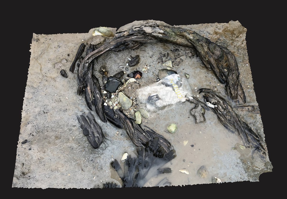 Eroding marine sediments around the Mersea foreshore have revealed some very interesting finds - for example, this could possibly be a section of Roman rope.