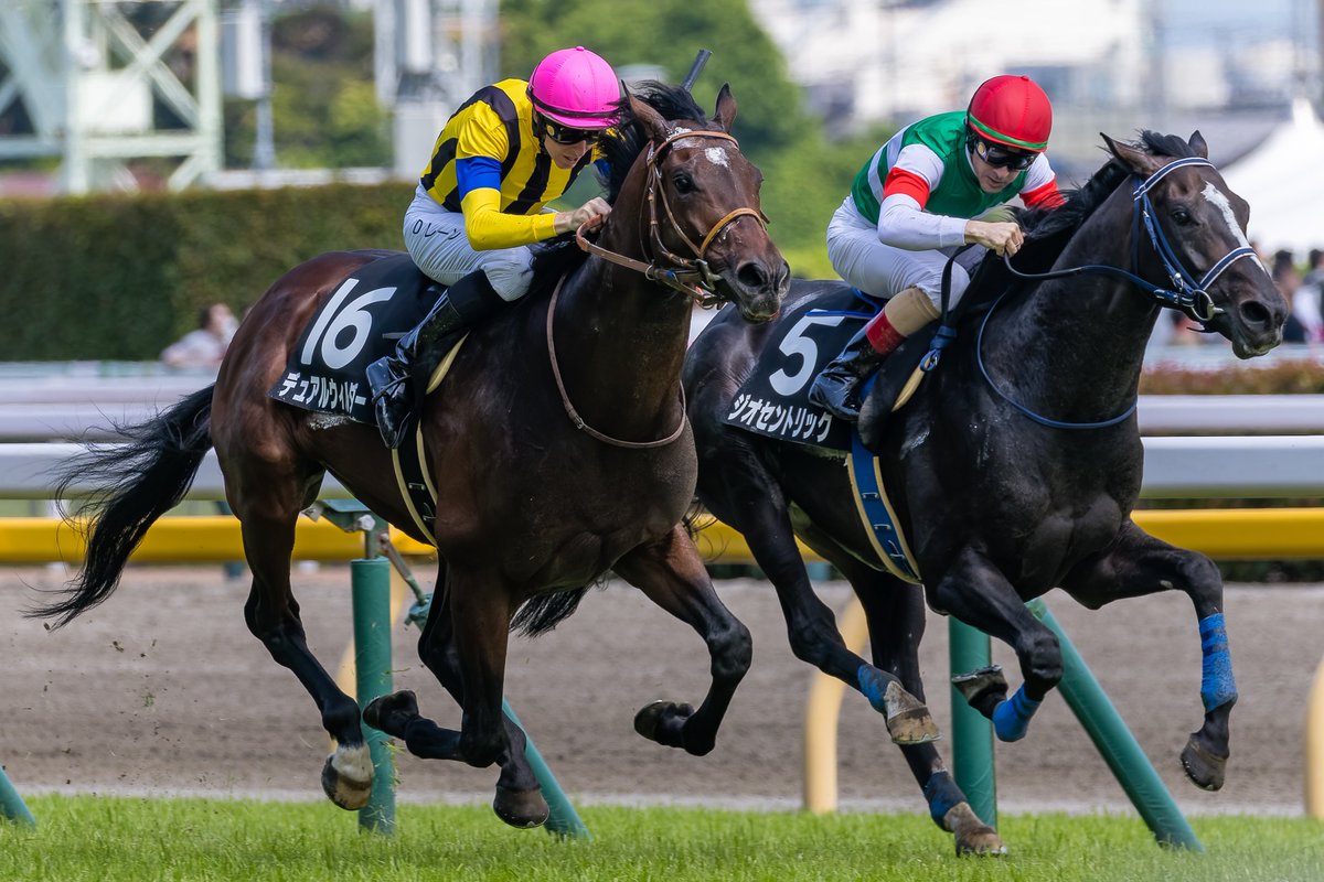 レーン - Search / X