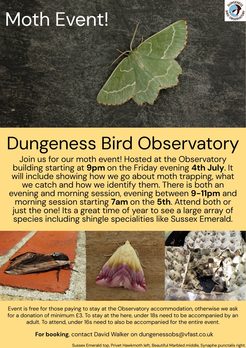 🚨We are hosting a #moth event!🚨