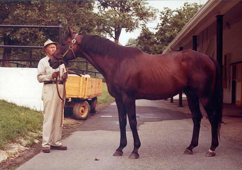 The great Mr. Prospector at Claiborne Farm