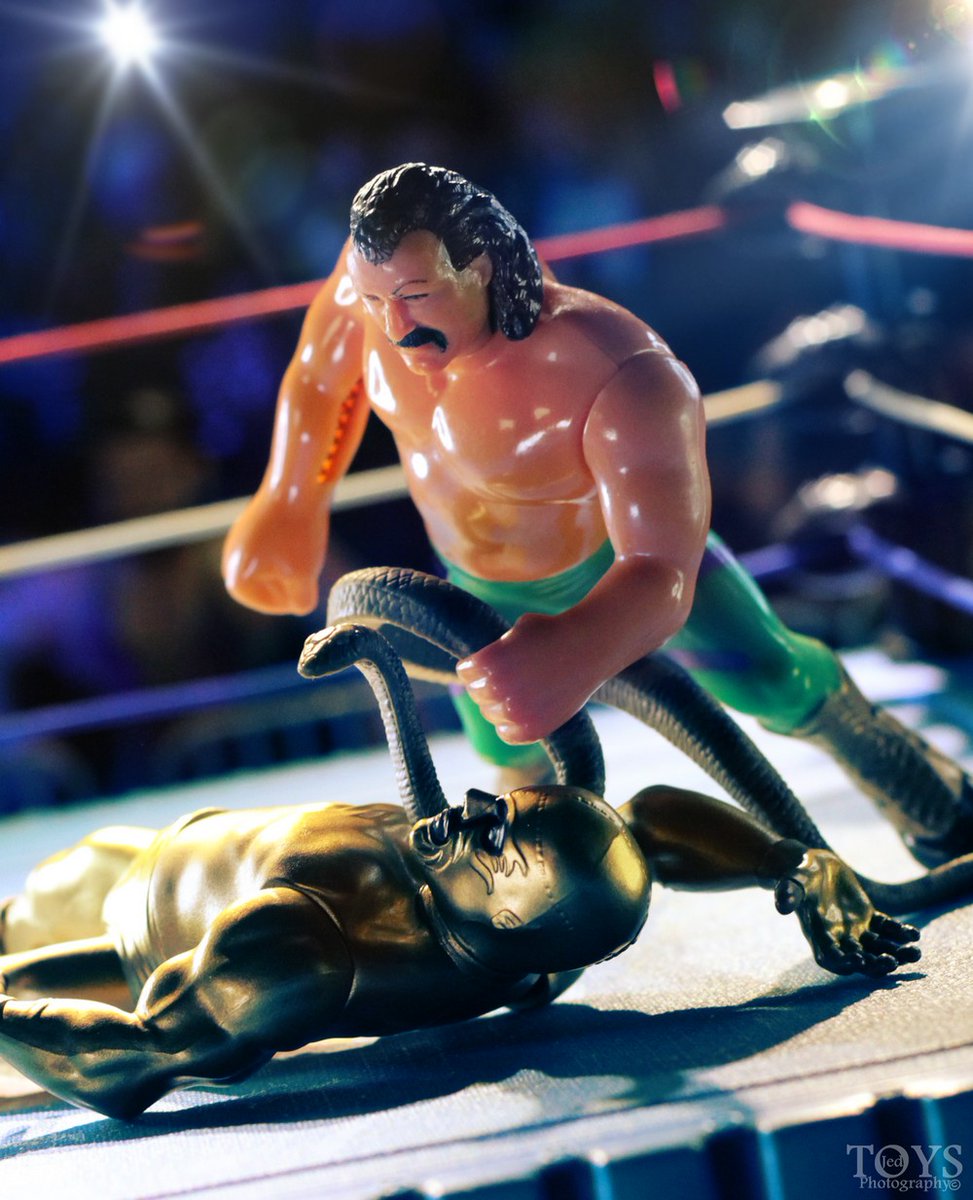 June 01, 1988
WWF Superstars 93
<a href="/JakeSnakeDDT/">JakeSnakeDDT</a> vs Conquistador Uno (Jose Luis Rivera)

37 years to the day!

Conquistador #1: <a href="/KShawnng/">KWK Brand</a> 
Jake Roberts: WWF Hasbro
#KWK #KWKToys #WWFHasbro #hWo #VintageWrestling #VintageToys #VintageFigures #WWF #WWE #WWEToys #WrestlingFigures