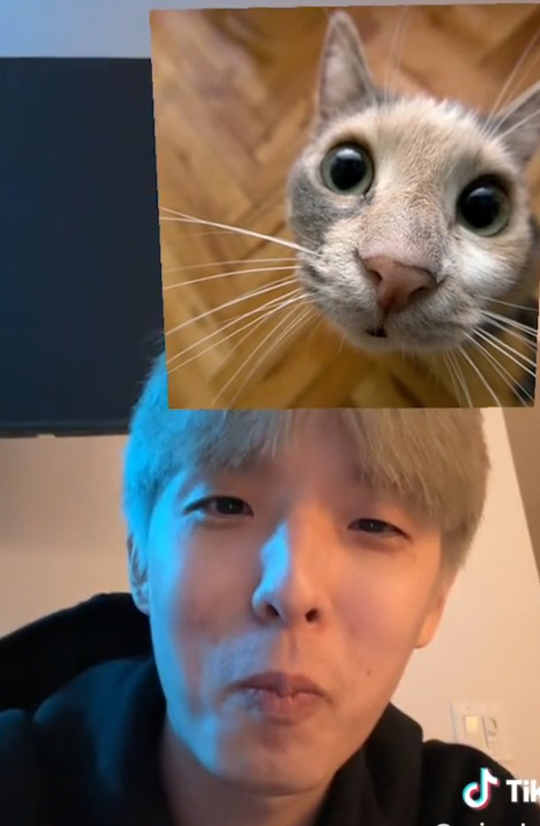 mirip lagi ekspresinya🤣