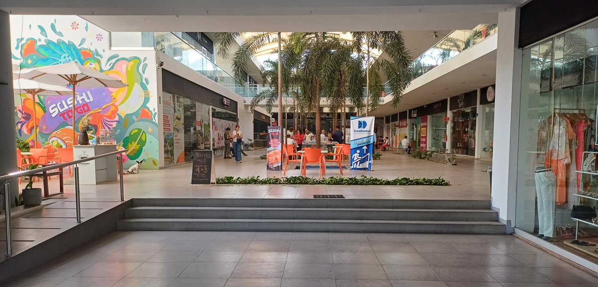 LOVREGA's tweet image. ¿No decían que la gente votó por una reforma Judicial?

¿En dónde están los millones de mexicanos que apoyaban la reforma?

¿Dónde está el 85% de los que aprueban a Claudia Sheinbaum?

¿En dónde están la mayoría que votó por Morena?

Hoy se hizo evidente el fraude del 2024.