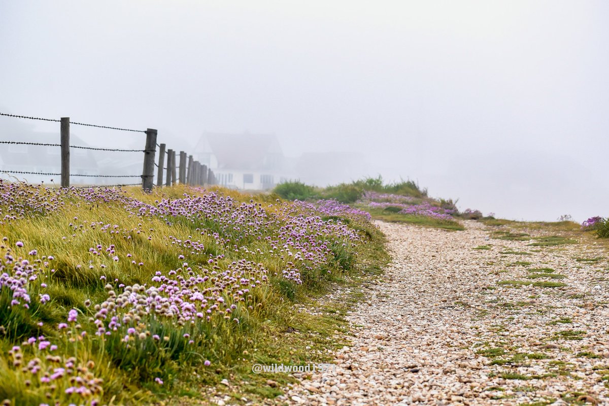 Wildwood1971 (Wild and Woody Photography) (@wildwood1971) on Twitter photo Taken yesterday morning when the seafret rolled in at West beach <a href="/PONewsHub/">PO Hub</a> <a href="/greatsussexway/">The Great Sussex Way</a> <a href="/ExpWestSussex/">Experience Sussex Partnership</a> <a href="/VisitSEEngland/">Visit South East England</a> <a href="/BBCSouthWeather/">BBCSouthWeather</a> <a href="/itvmeridian/">ITV News Meridian</a> <a href="/ThePhotoHour/">#ThePhotoHour</a> <a href="/AlexisGreenTV/">Alexis Green</a> <a href="/PhilippaDrewITV/">Philippa Drew</a> <a href="/HollyJGreen/">Holly Green - Weather Presenter</a> Taken yesterday morning when the seafret rolled in at West beach <a href="/PONewsHub/">PO Hub</a> <a href="/greatsussexway/">The Great Sussex Way</a> <a href="/ExpWestSussex/">Experience Sussex Partnership</a> <a href="/VisitSEEngland/">Visit South East England</a> <a href="/BBCSouthWeather/">BBCSouthWeather</a> <a href="/itvmeridian/">ITV News Meridian</a> <a href="/ThePhotoHour/">#ThePhotoHour</a> <a href="/AlexisGreenTV/">Alexis Green</a> <a href="/PhilippaDrewITV/">Philippa Drew</a> <a href="/HollyJGreen/">Holly Green - Weather Presenter</a>